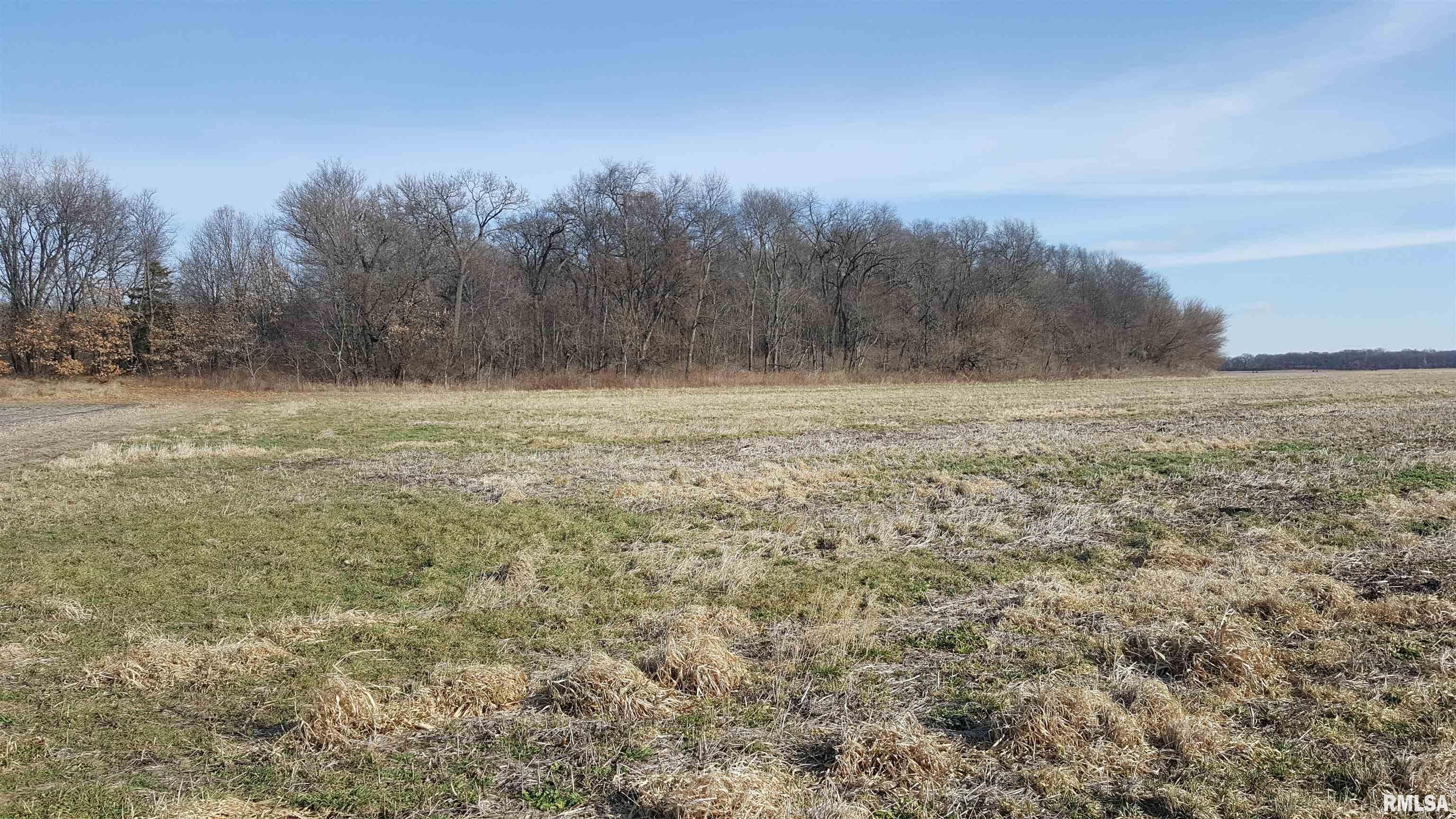 North Weber Road Geneseo, IL 61254 - Photo 3 of 4