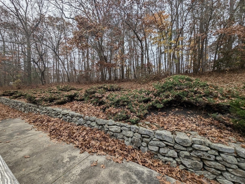 107 Center Depot Road, Unit C Charlton, MA 01507 - Photo 19 of 39 a view of a yard with plants and trees