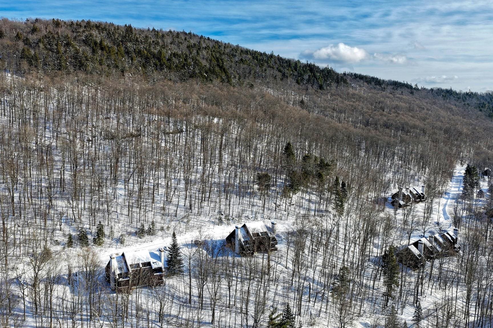 107 Blueberry Ledge Ridge, Unit L45 Plymouth, VT 05056 - Photo 41 of 46