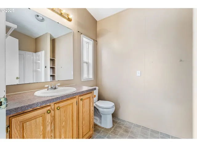a view of a backyard with plants and a tree