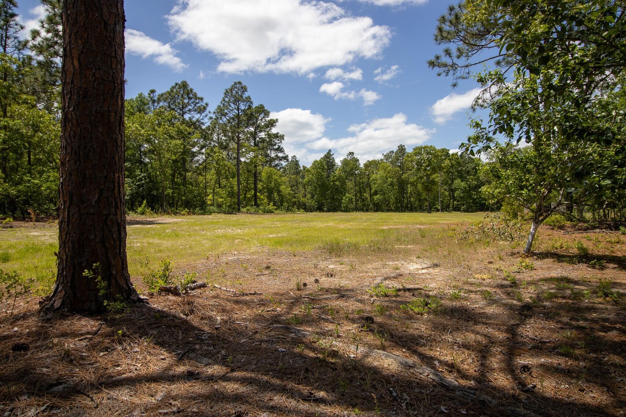 555 Oak Ridge Club Road Windsor, SC 29856 - Photo 20 of 20