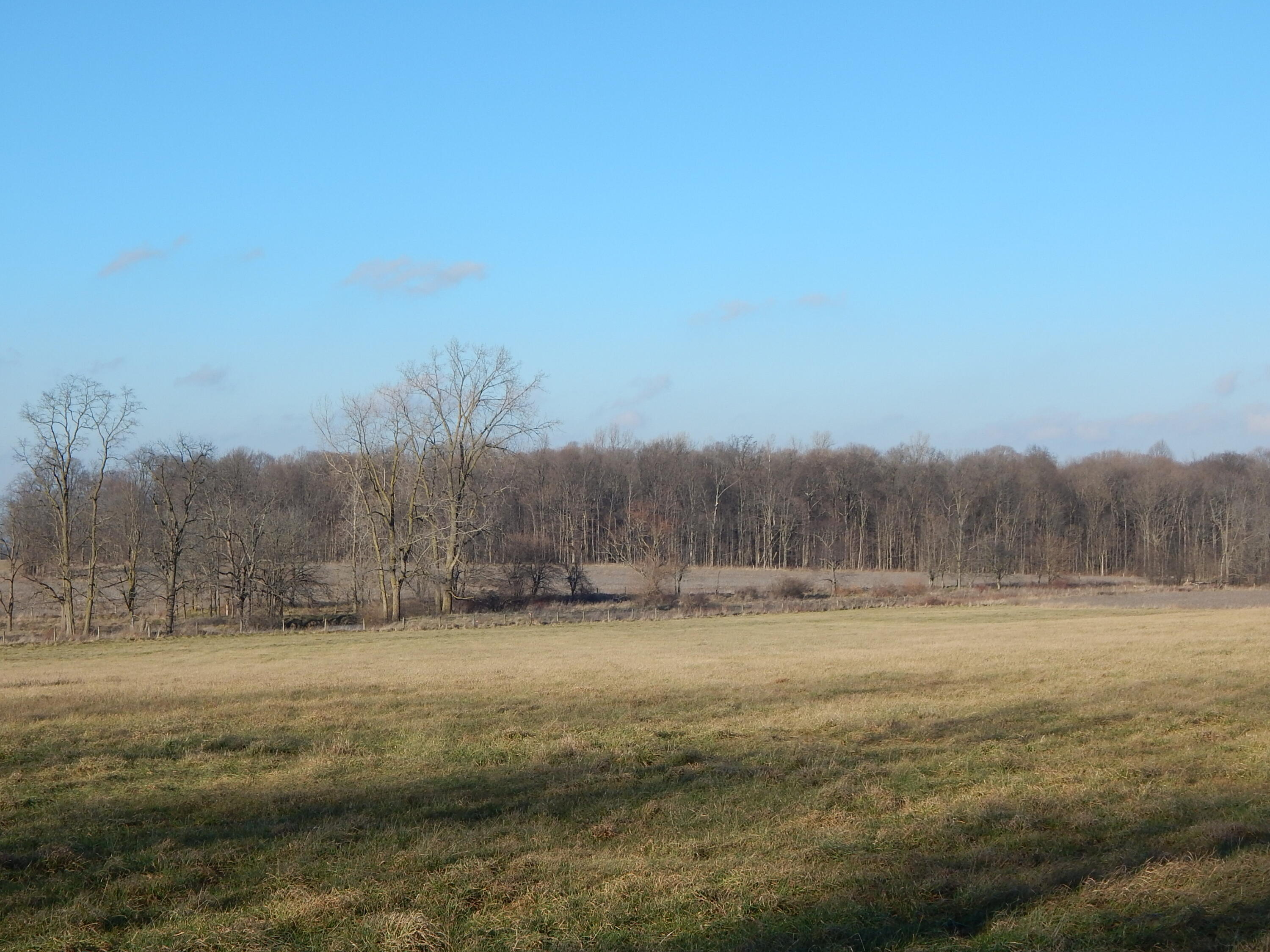 8646 Snapp Road De Graff, OH 43318 - Photo 35 of 35
