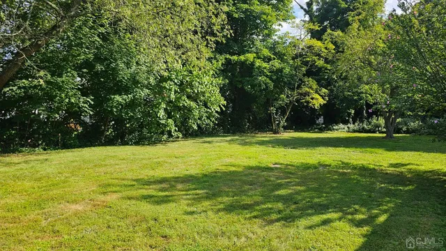 a view of a big yard with a trees