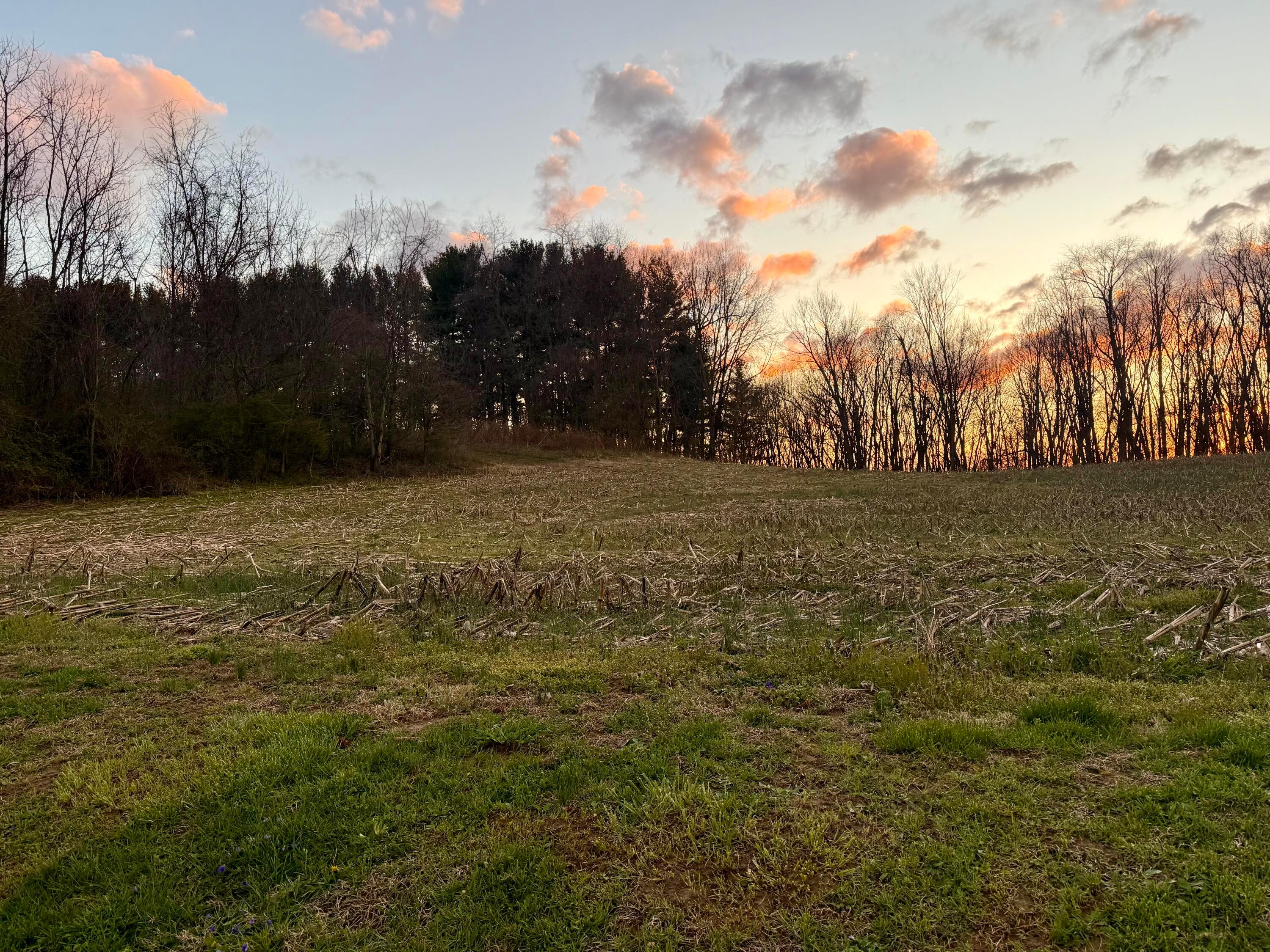 17597 Spillway Road Fredericktown, OH 43019 - Photo 25 of 25 25