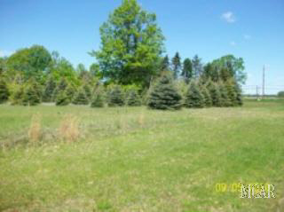 2028 Samaria Road Temperance, MI 48182 - Photo 18 of 19 Side Yard