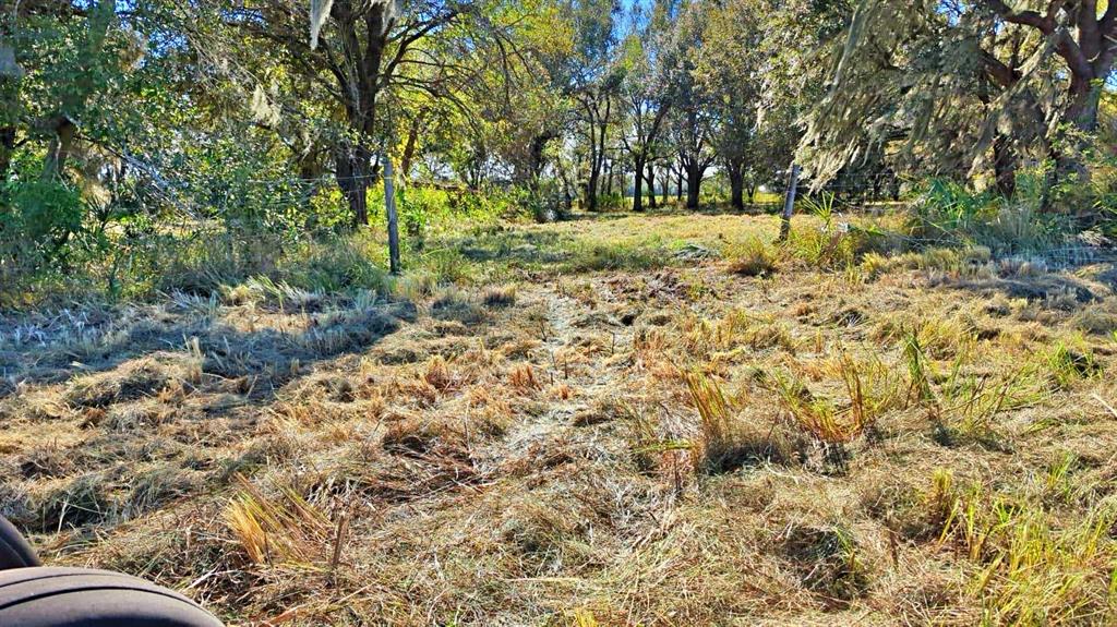 Conroy Lane Wauchula, FL 33873 - Photo 2 of 13 a view of a yard with plants and trees