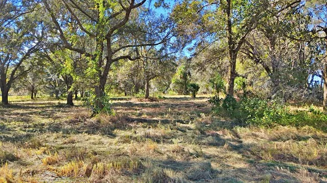 a view of yard with trees