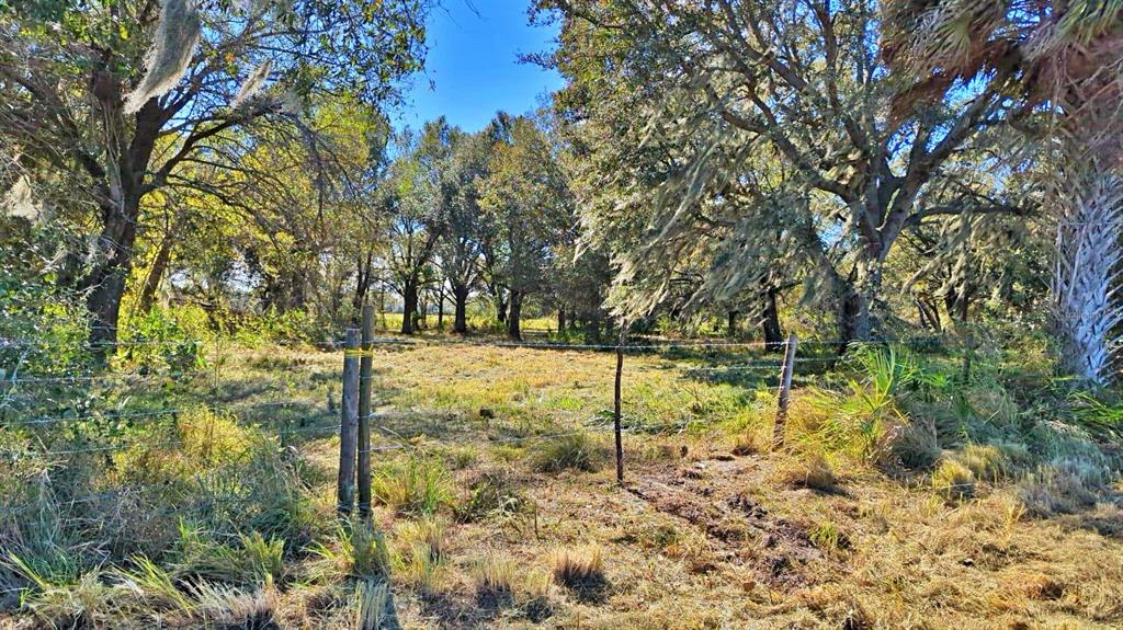 Conroy Lane Wauchula, FL 33873 - Photo 5 of 13 a view of yard with trees
