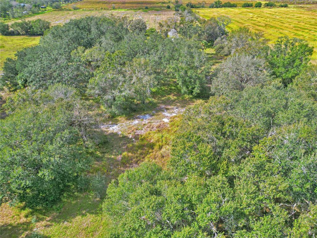 Conroy Lane Wauchula, FL 33873 - Photo 10 of 13 a view of a yard with an outdoor space