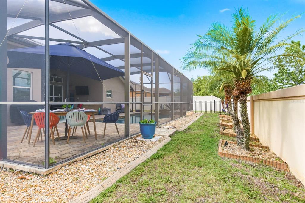 2423 Triggerfish Court Holiday, FL 34691 - Photo 44 of 71