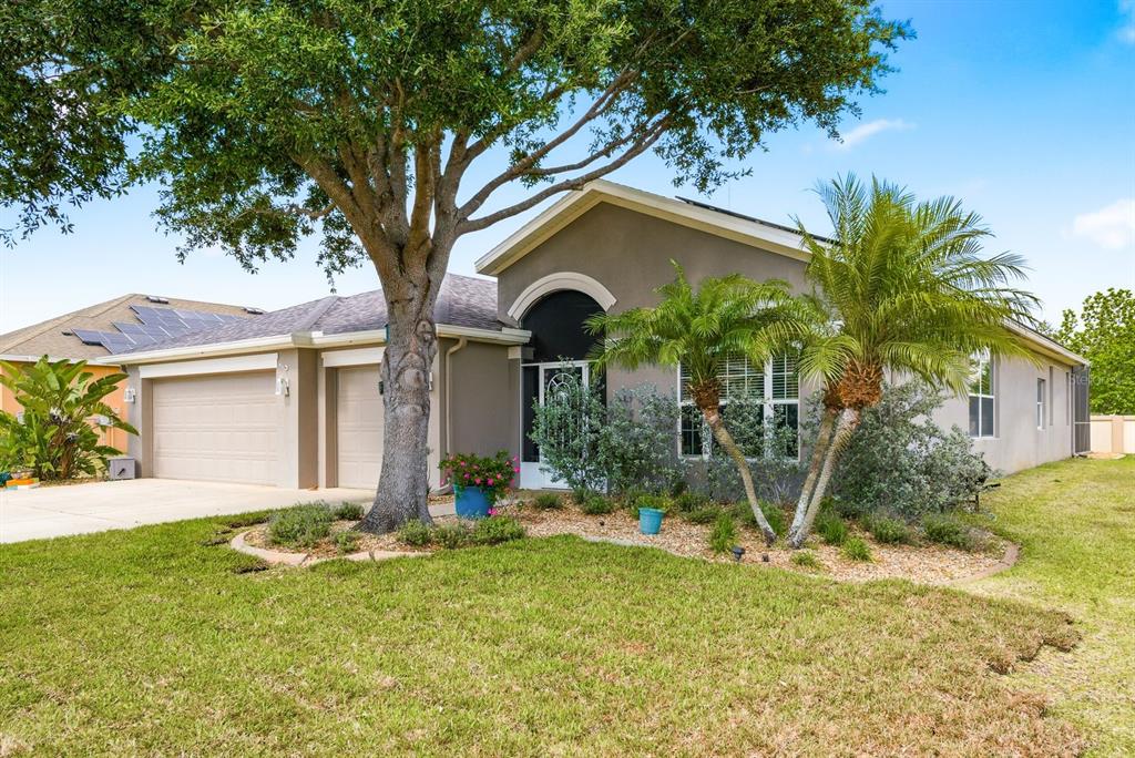 2423 Triggerfish Court Holiday, FL 34691 - Photo 54 of 71 a front view of a house with garden