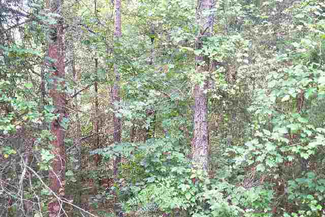 Lot 7 Rochester Road Townville, SC 29689 - Photo 3 of 4 Gallery Image 3