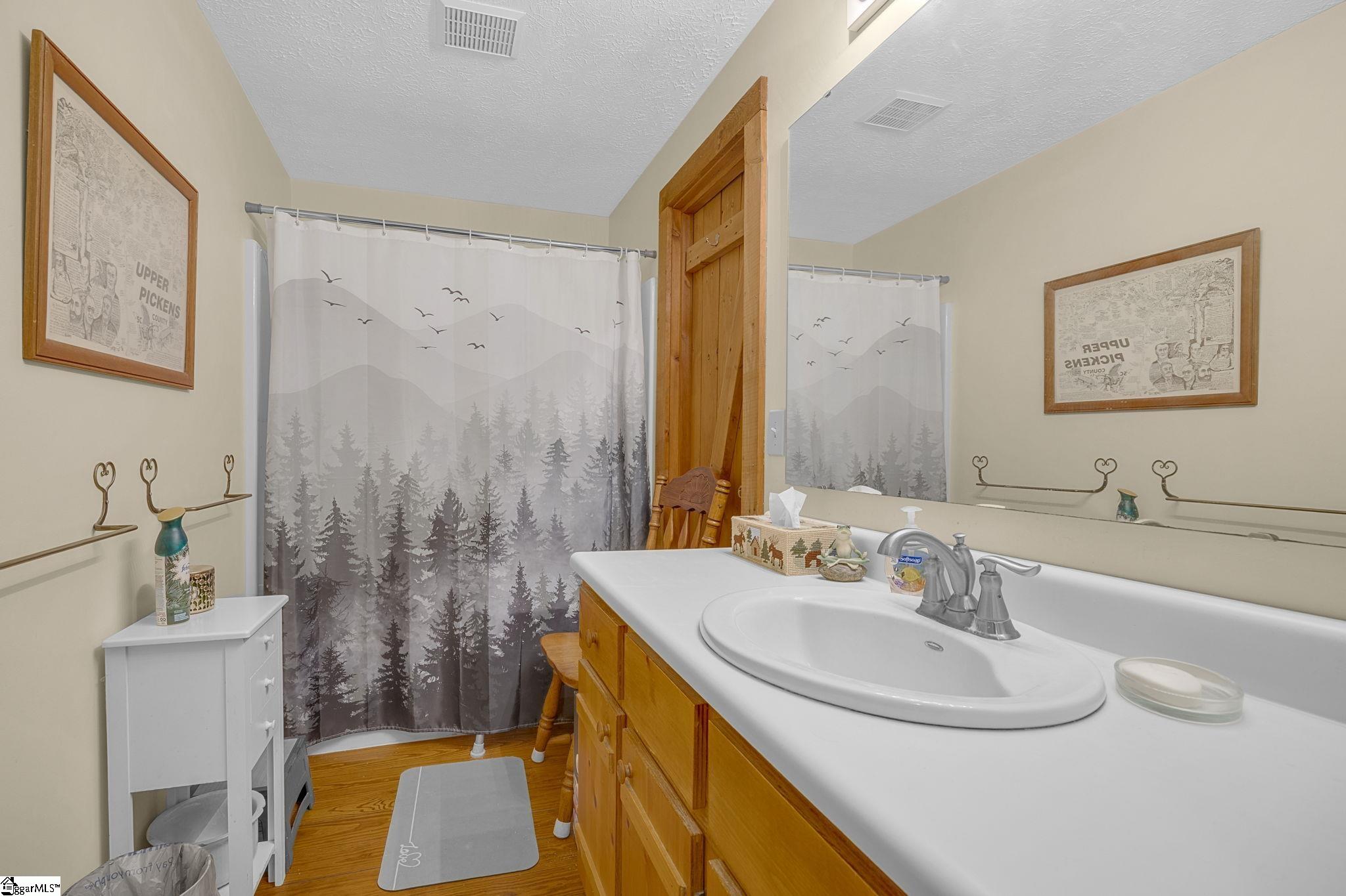 539 Upper Springs Road Pickens, SC 29671 - Photo 27 of 48