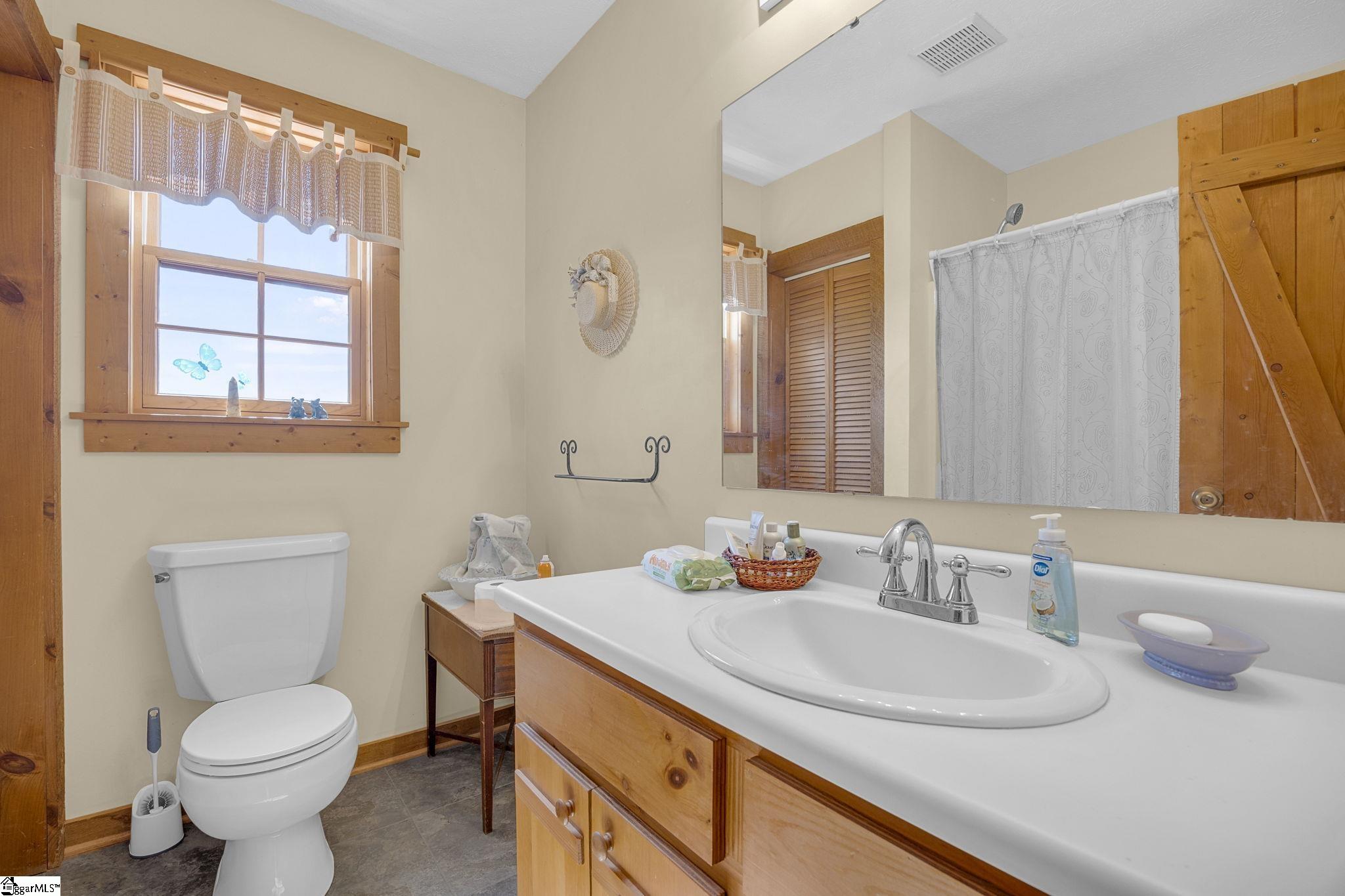 539 Upper Springs Road Pickens, SC 29671 - Photo 30 of 48