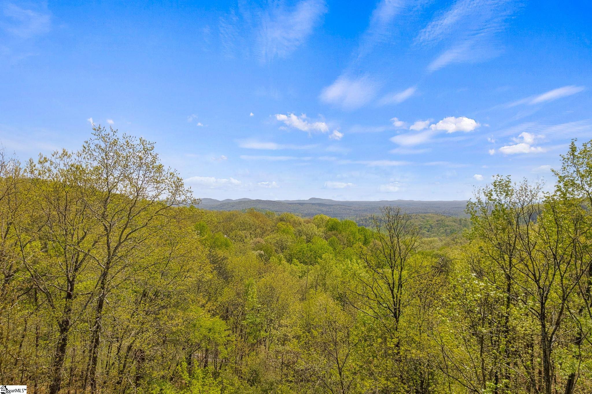 539 Upper Springs Road Pickens, SC 29671 - Photo 48 of 48