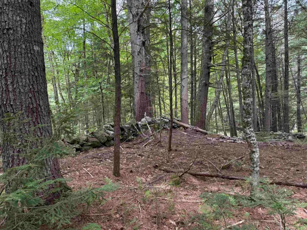 $125,000 | 0 Hoey Road, Cavendish, VT 05142