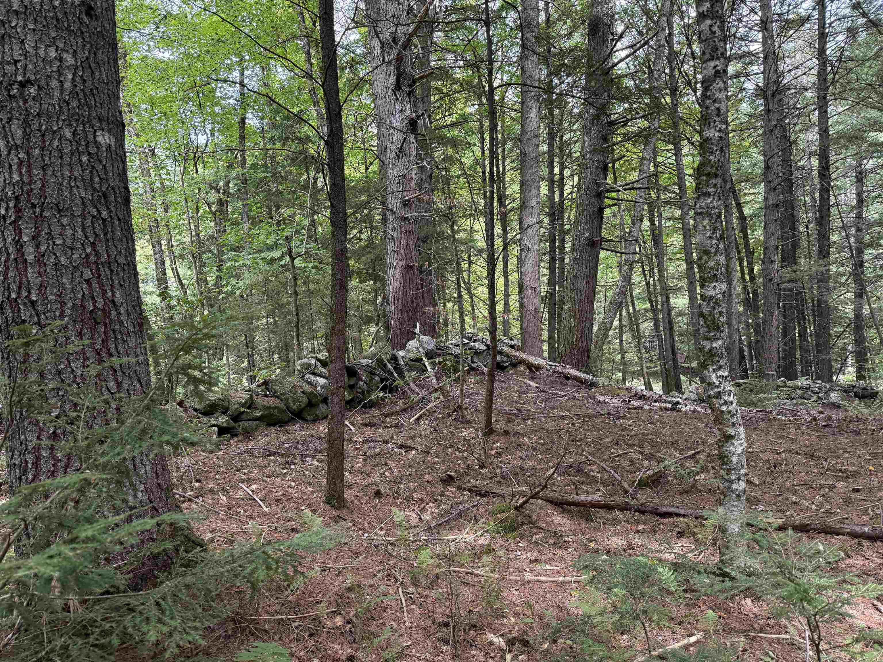 0 Hoey Road Cavendish, VT 05142 - Photo 11 of 19