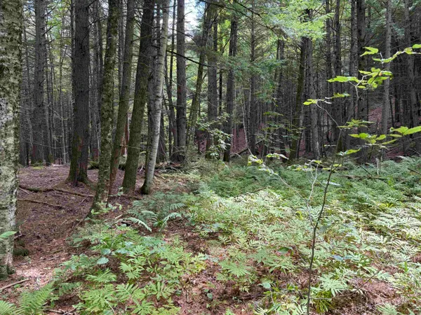 $125,000 | 0 Hoey Road, Cavendish, VT 05142