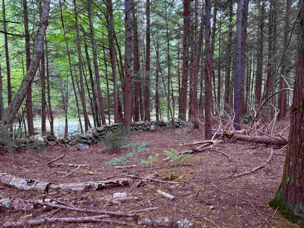 $125,000 | 0 Hoey Road, Cavendish, VT 05142