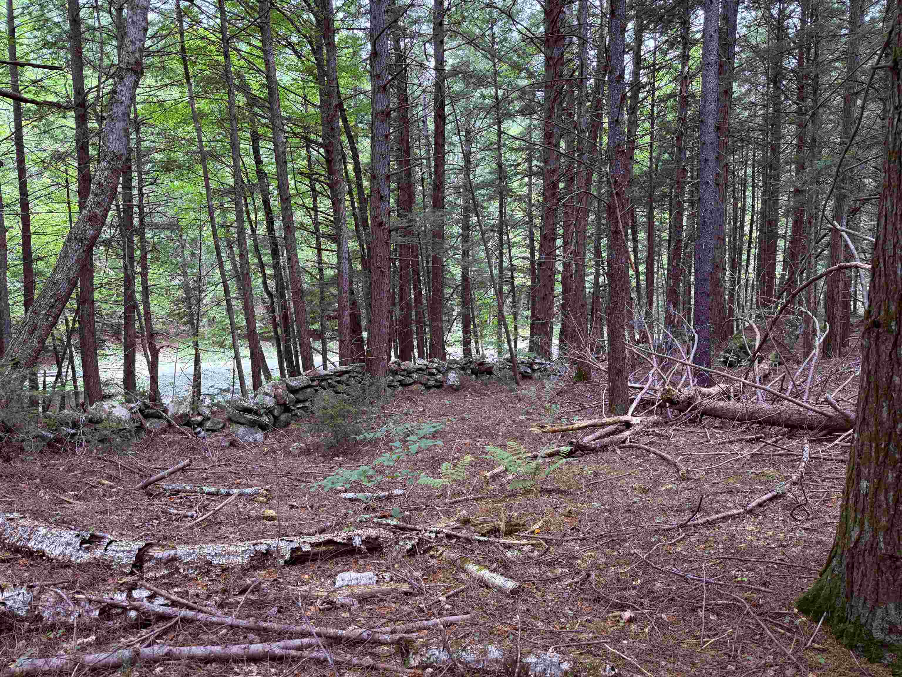 0 Hoey Road Cavendish, VT 05142 - Photo 13 of 19
