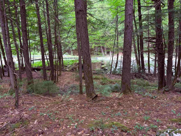 $125,000 | 0 Hoey Road, Cavendish, VT 05142