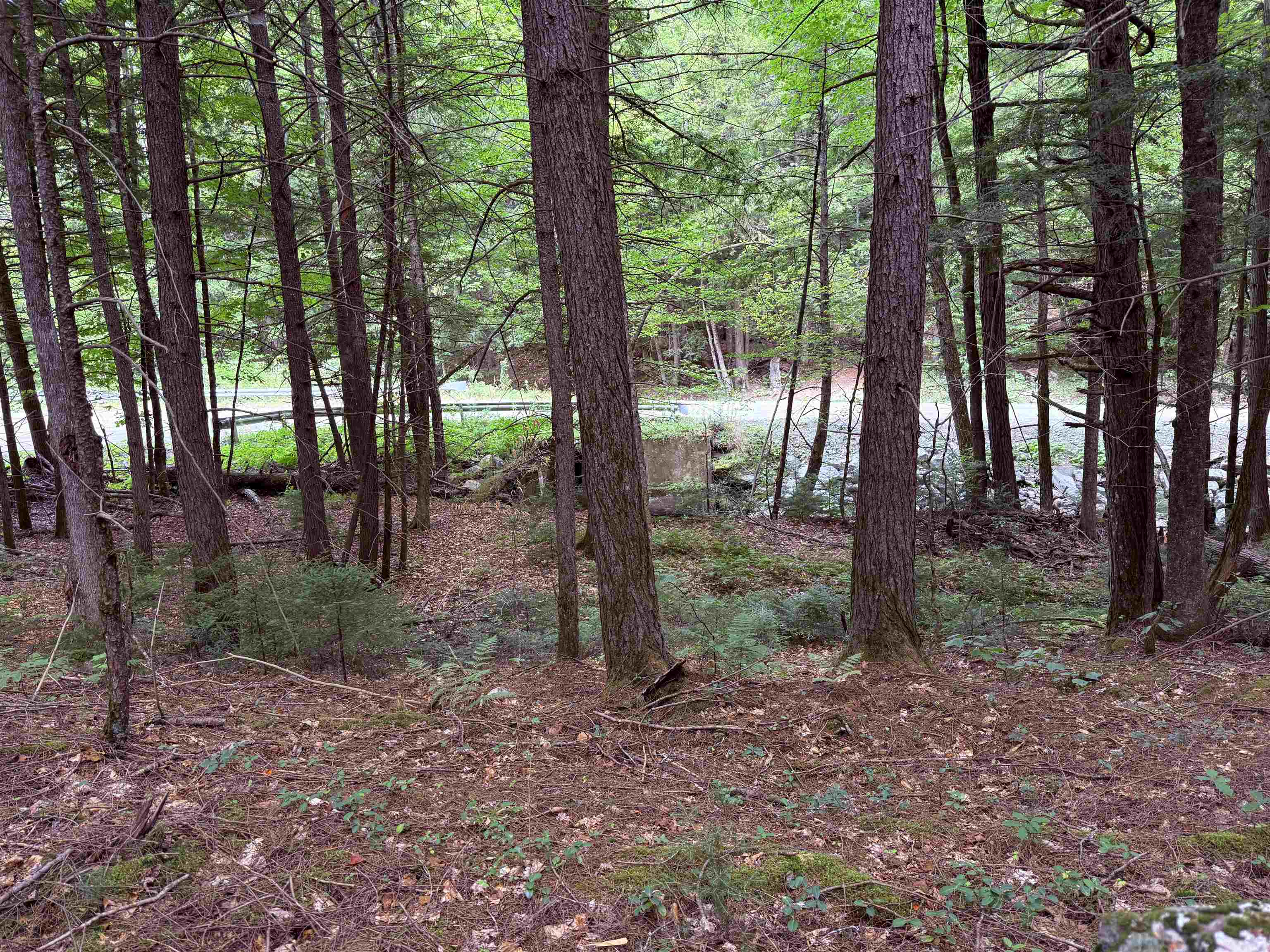 0 Hoey Road Cavendish, VT 05142 - Photo 14 of 19