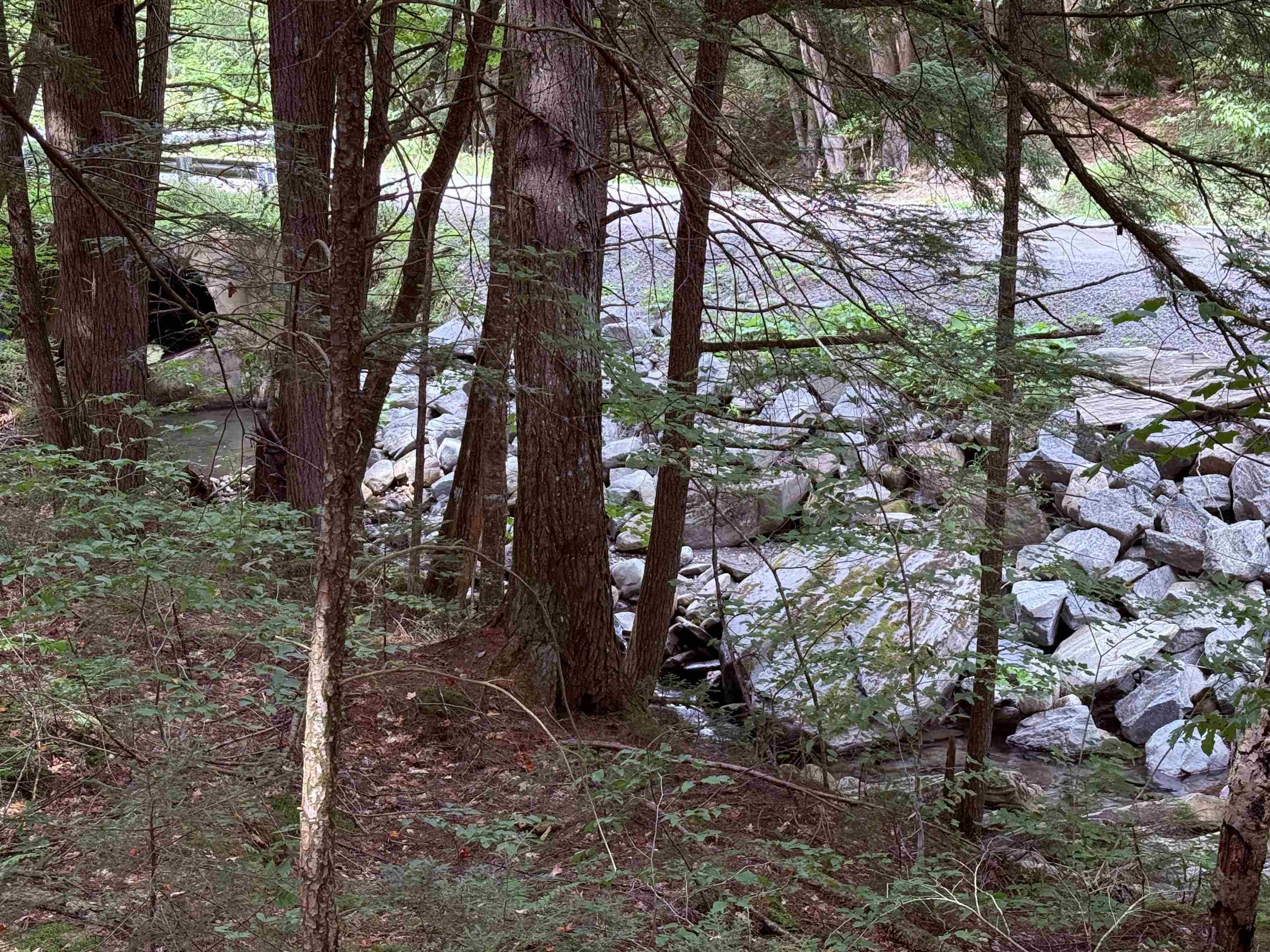 0 Hoey Road Cavendish, VT 05142 - Photo 15 of 19