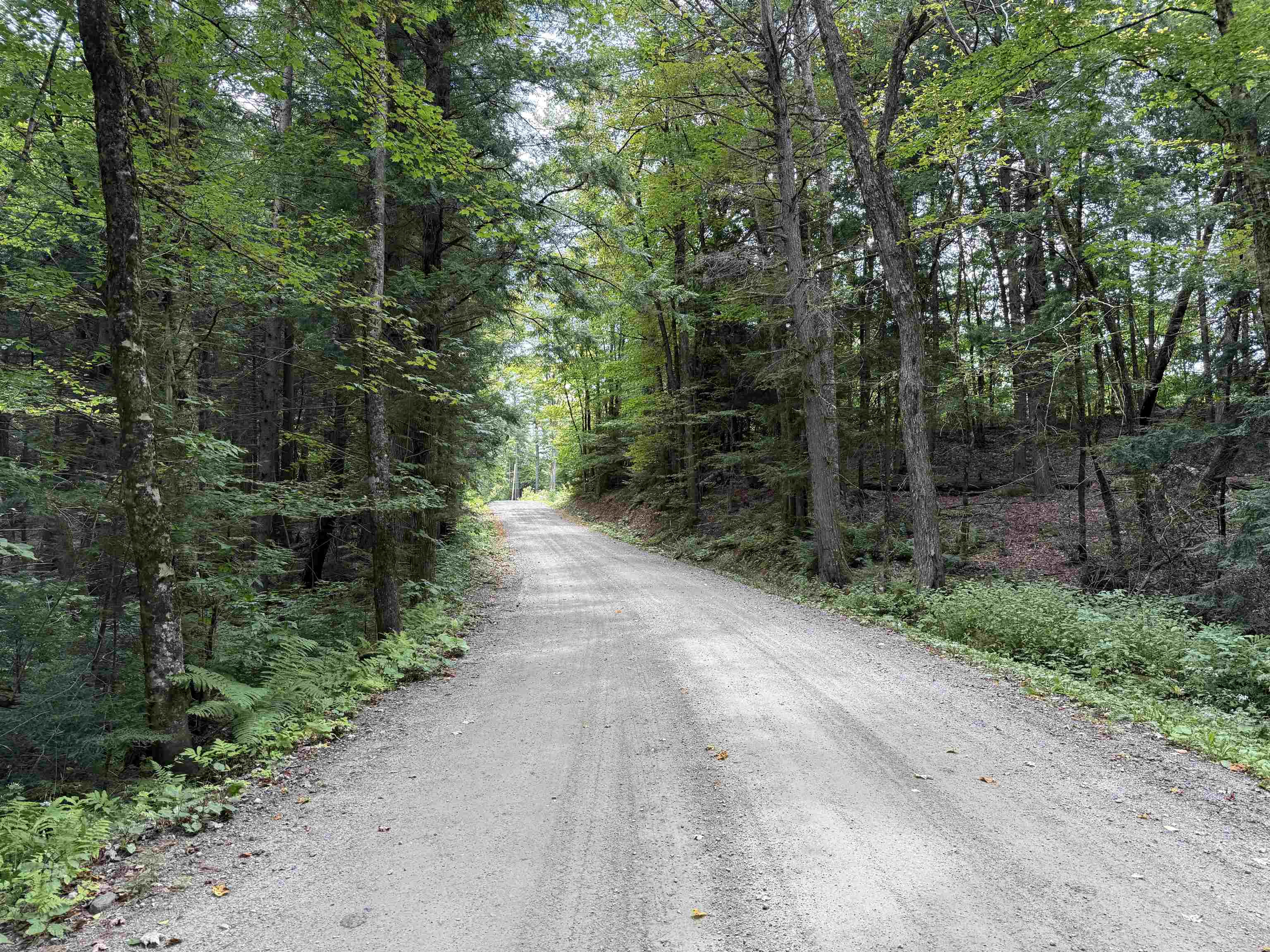 0 Hoey Road Cavendish, VT 05142 - Photo 16 of 19