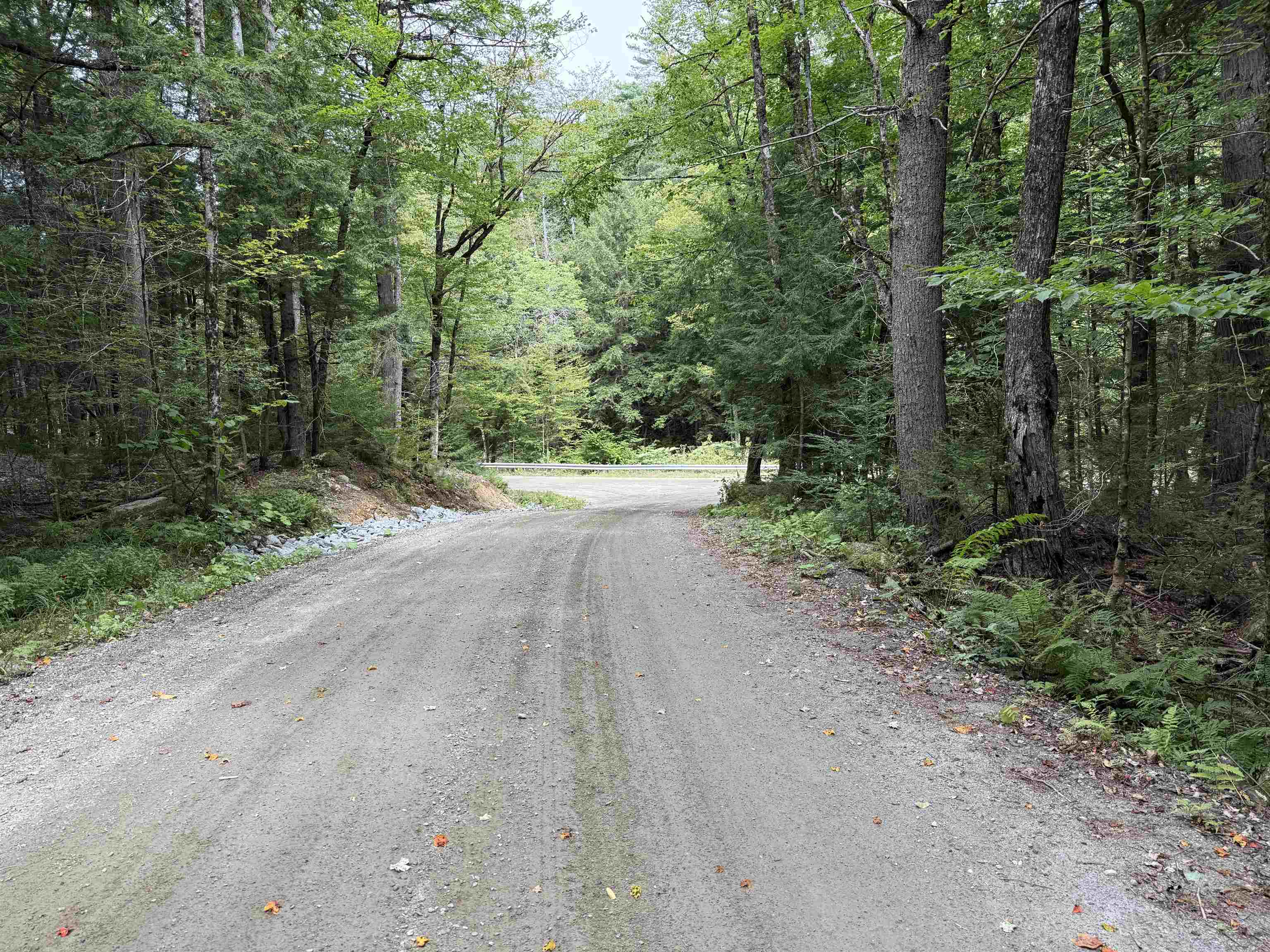0 Hoey Road Cavendish, VT 05142 - Photo 17 of 19