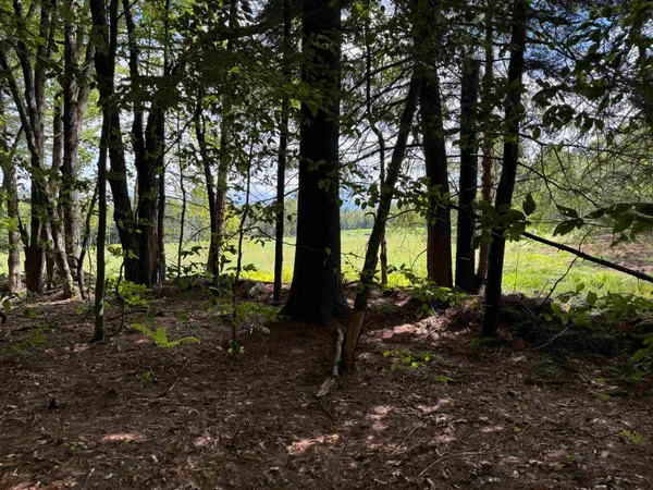 $125,000 | 0 Hoey Road, Cavendish, VT 05142