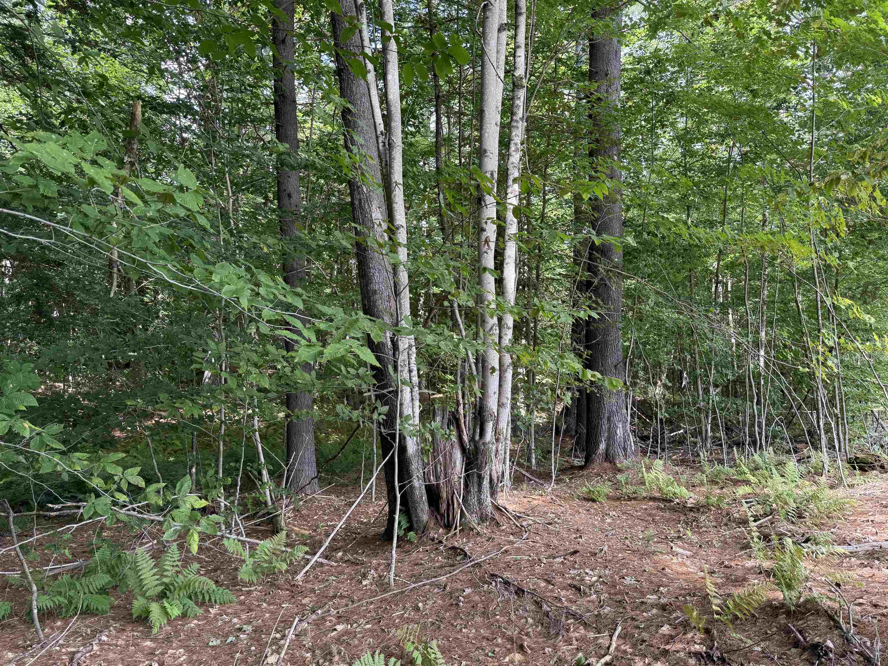 0 Hoey Road Cavendish, VT 05142 - Photo 3 of 19