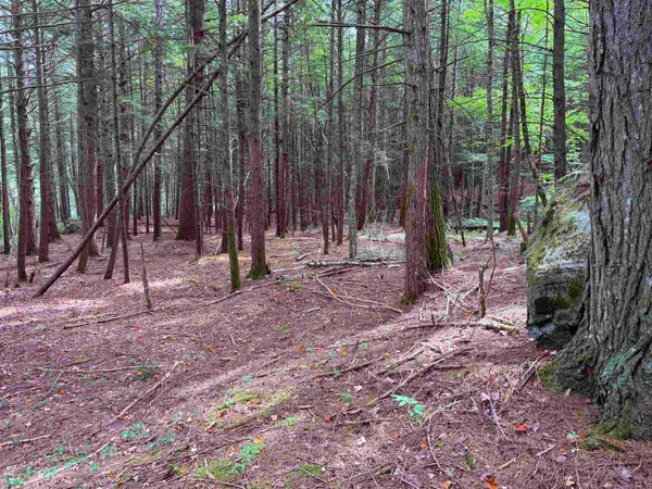 $125,000 | 0 Hoey Road, Cavendish, VT 05142