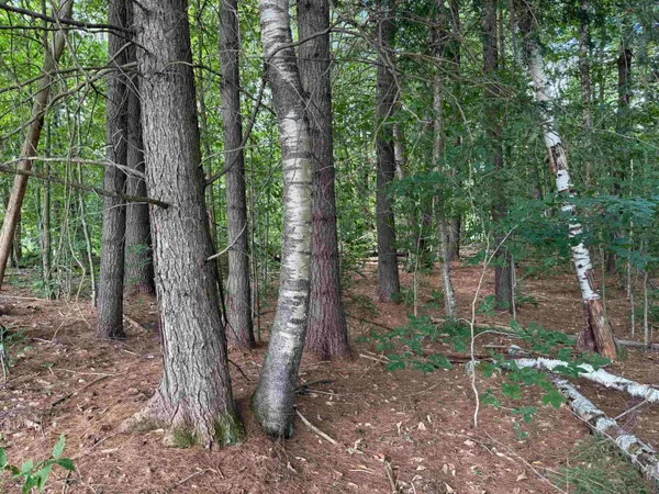 $125,000 | 0 Hoey Road, Cavendish, VT 05142