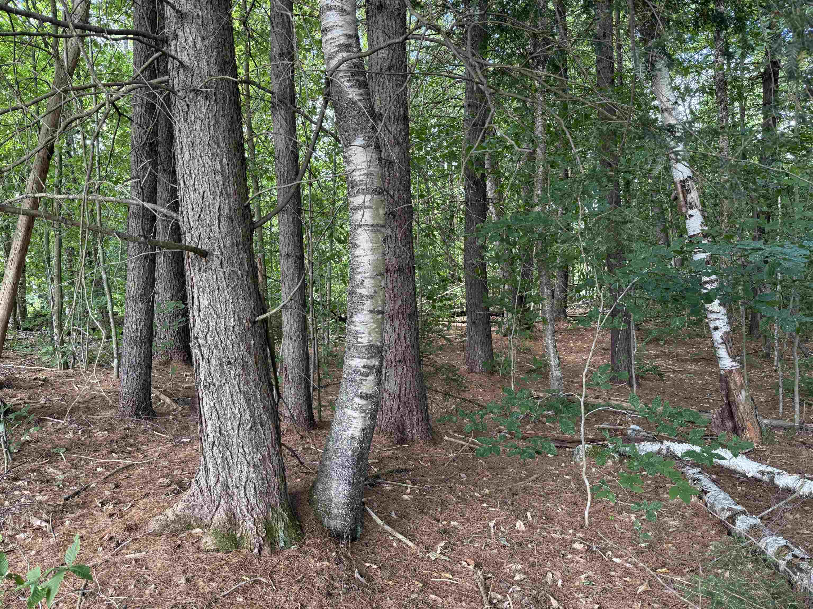 0 Hoey Road Cavendish, VT 05142 - Photo 5 of 19