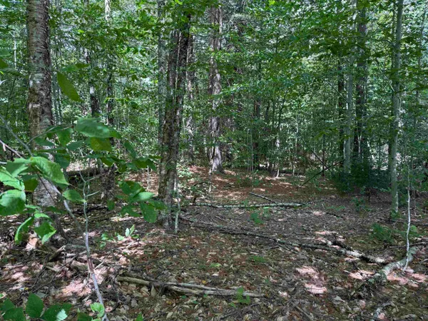 $125,000 | 0 Hoey Road, Cavendish, VT 05142