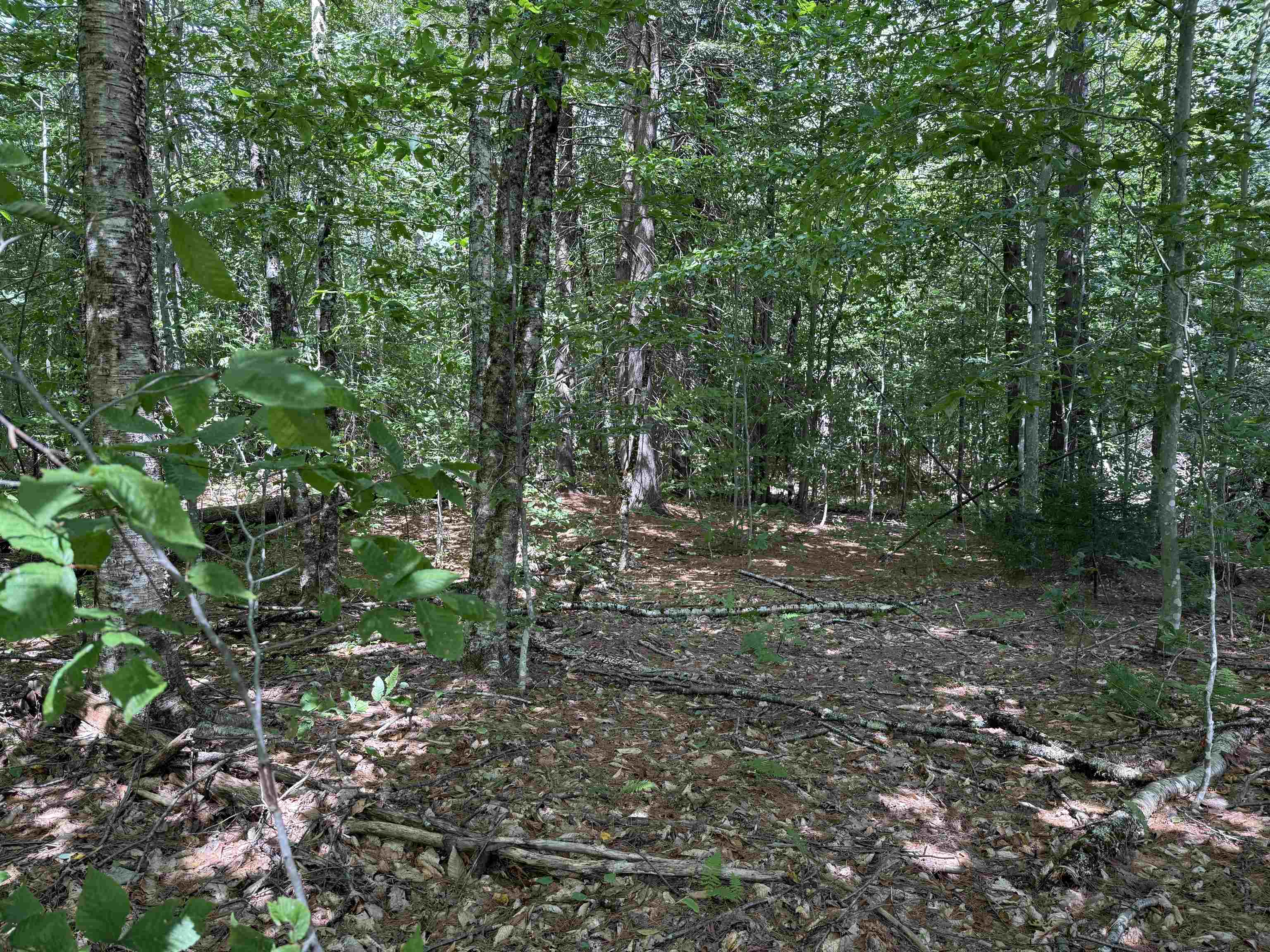 0 Hoey Road Cavendish, VT 05142 - Photo 6 of 19