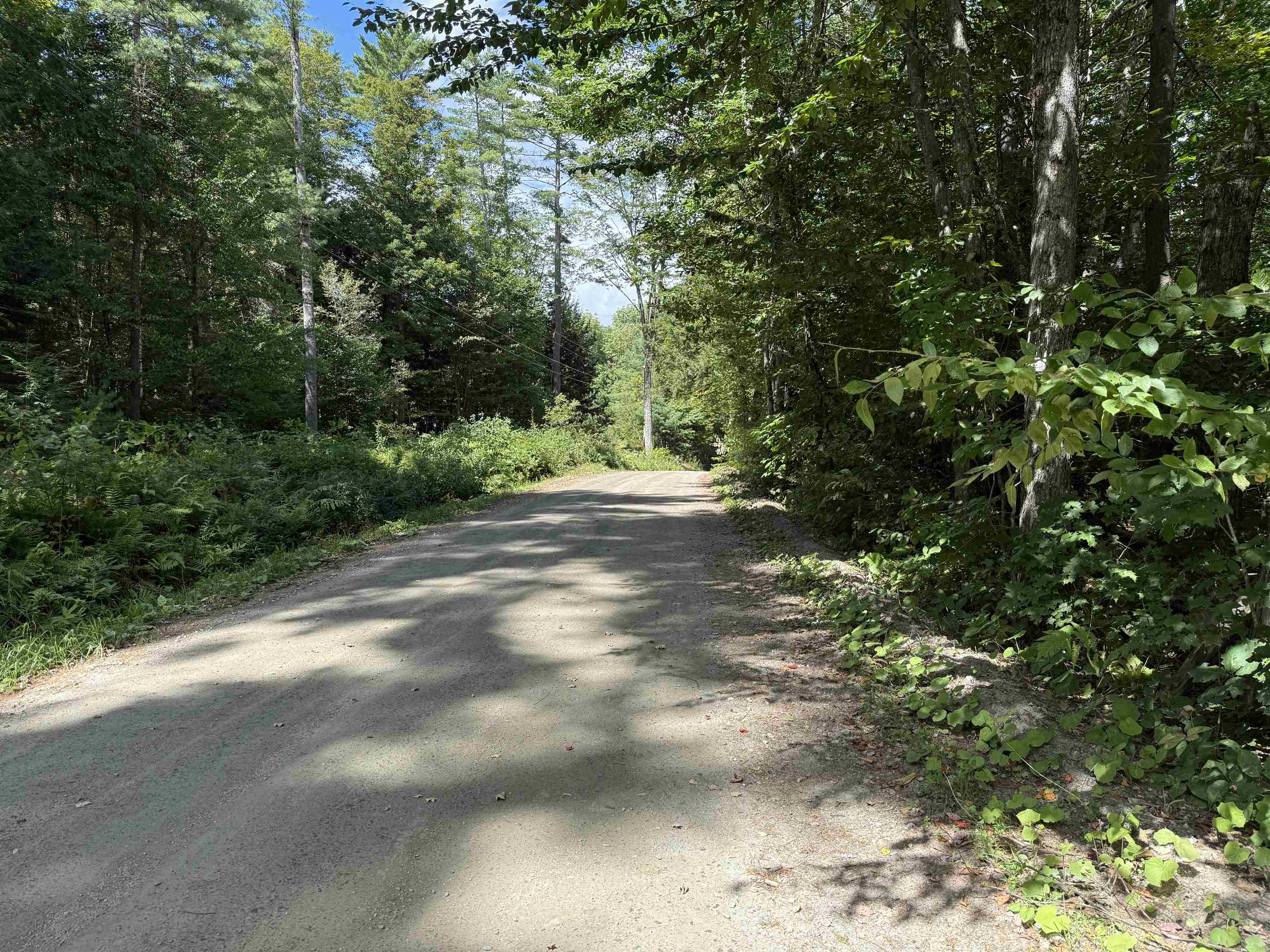 0 Hoey Road Cavendish, VT 05142 - Photo 8 of 19