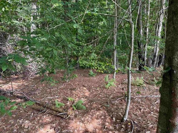 $125,000 | 0 Hoey Road, Cavendish, VT 05142