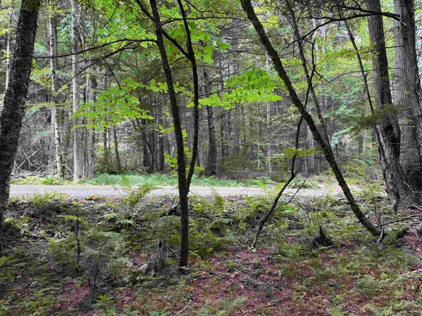 $125,000 | 0 Hoey Road, Cavendish, VT 05142