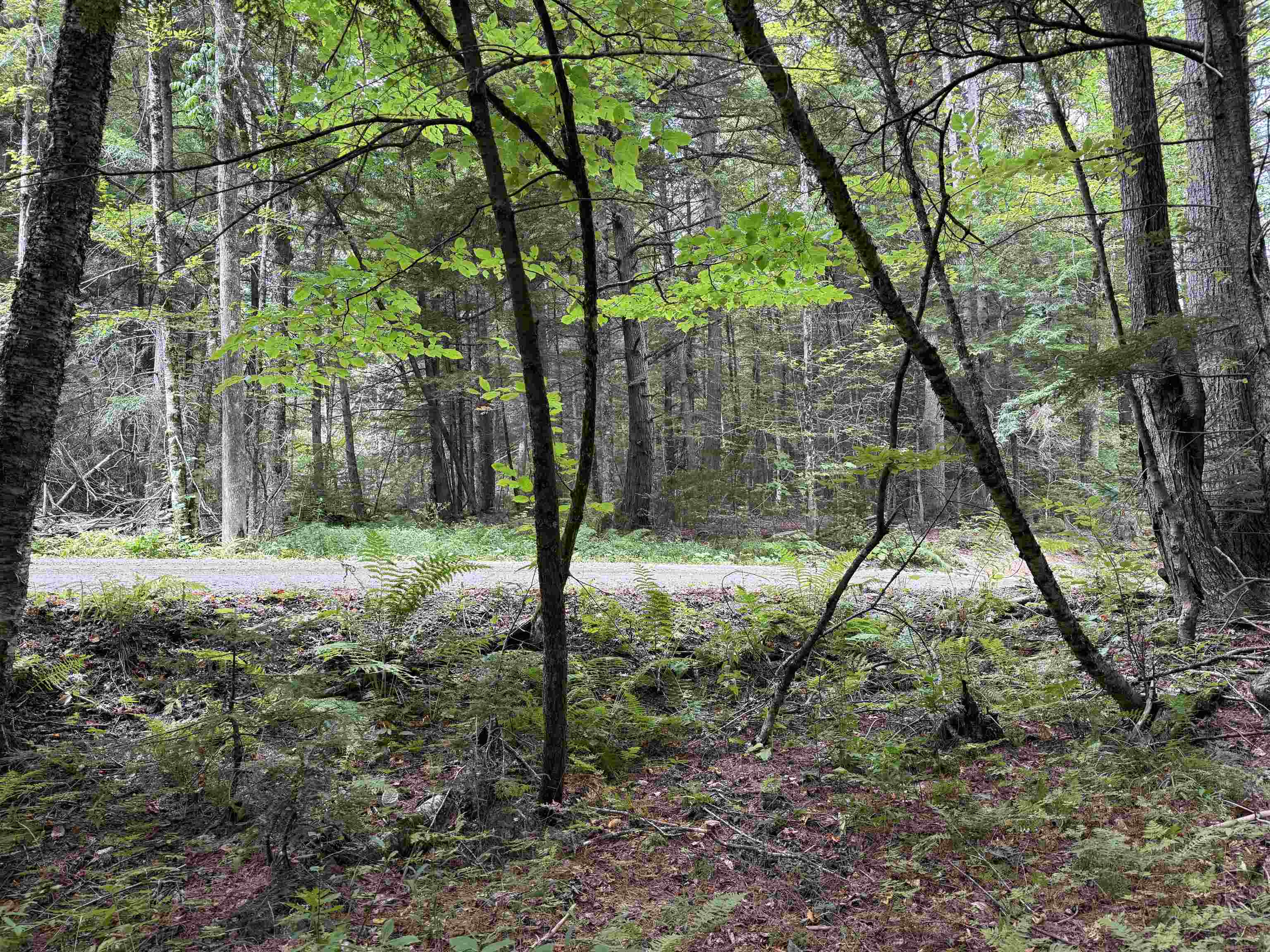 0 Hoey Road Cavendish, VT 05142 - Photo 10 of 19