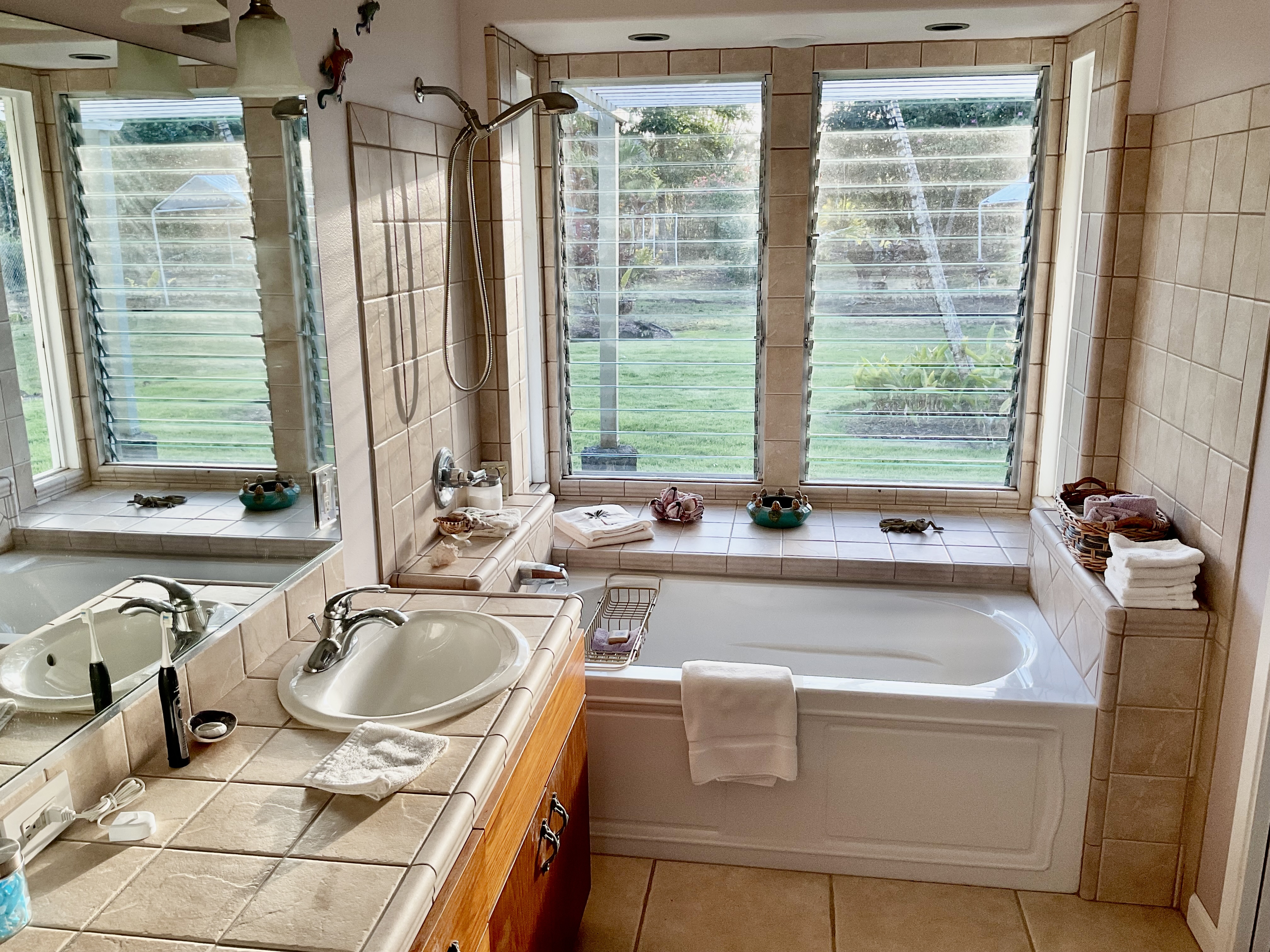 15-1500 10th Street Keaau, HI 96749 - Photo 12 of 30