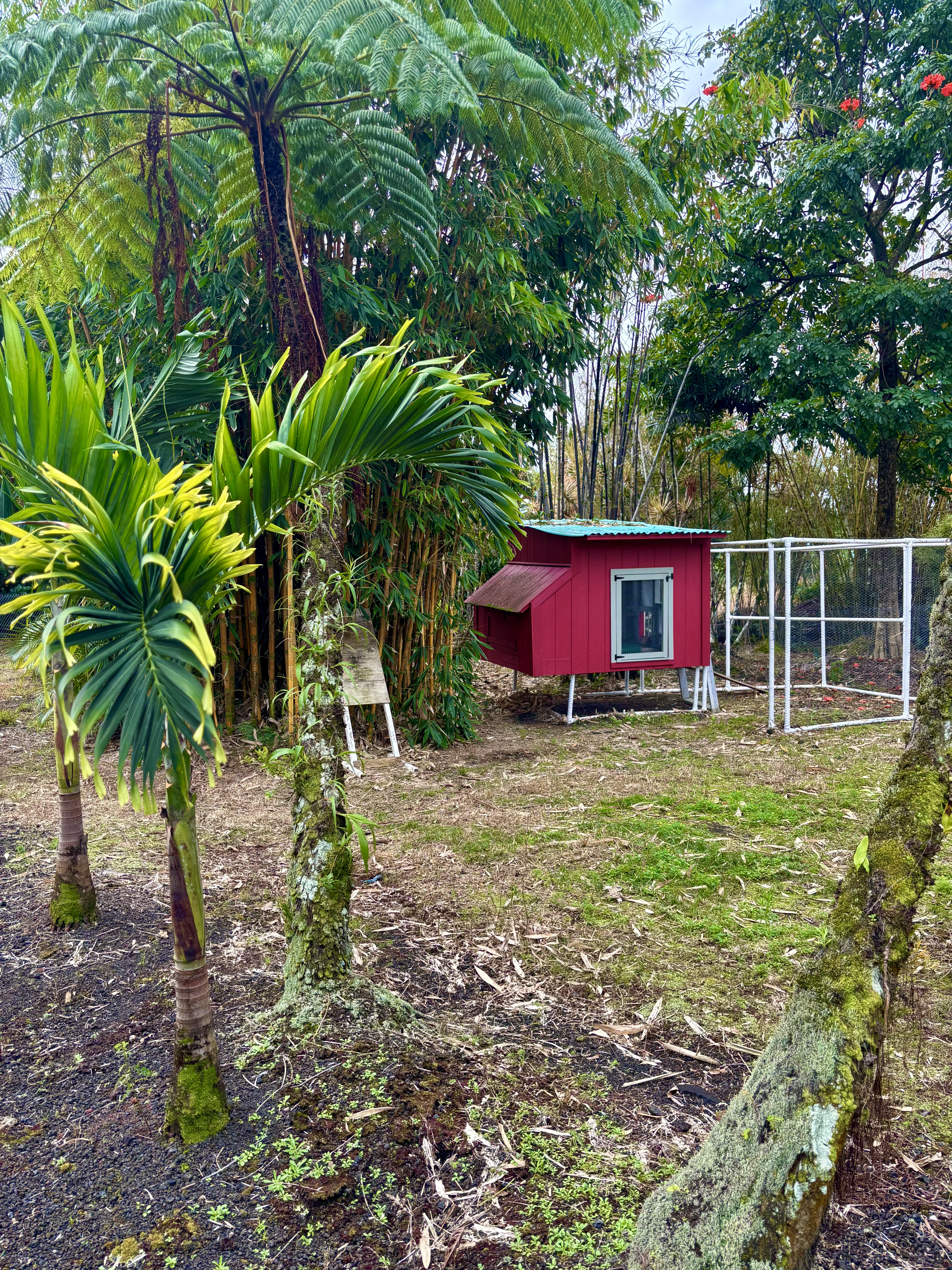 15-1500 10th Street Keaau, HI 96749 - Photo 27 of 30