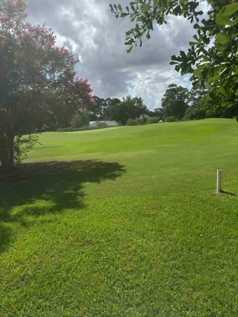 6026 Coral Ridge Road Houston, TX 77069 - Photo 33 of 34 What a view !