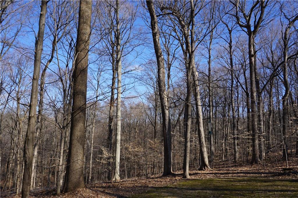795 South Graveyard Road Paragon, IN 46166 - Photo 25 of 31
