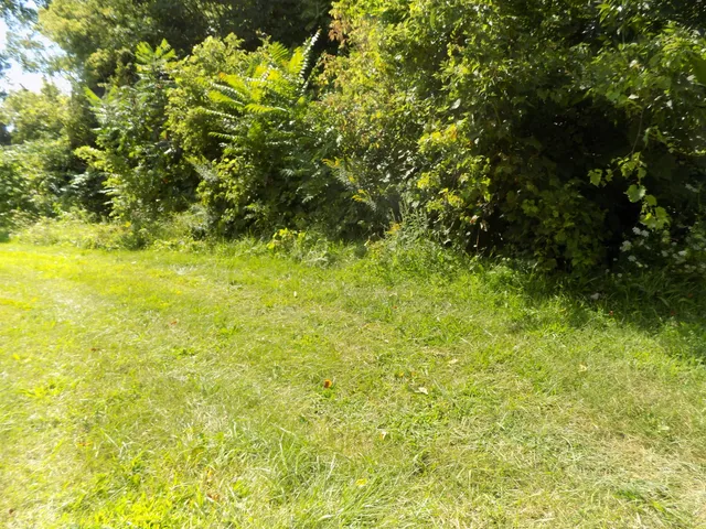 $159,900 | 0 Mountain Road, Coloma, MI 49038