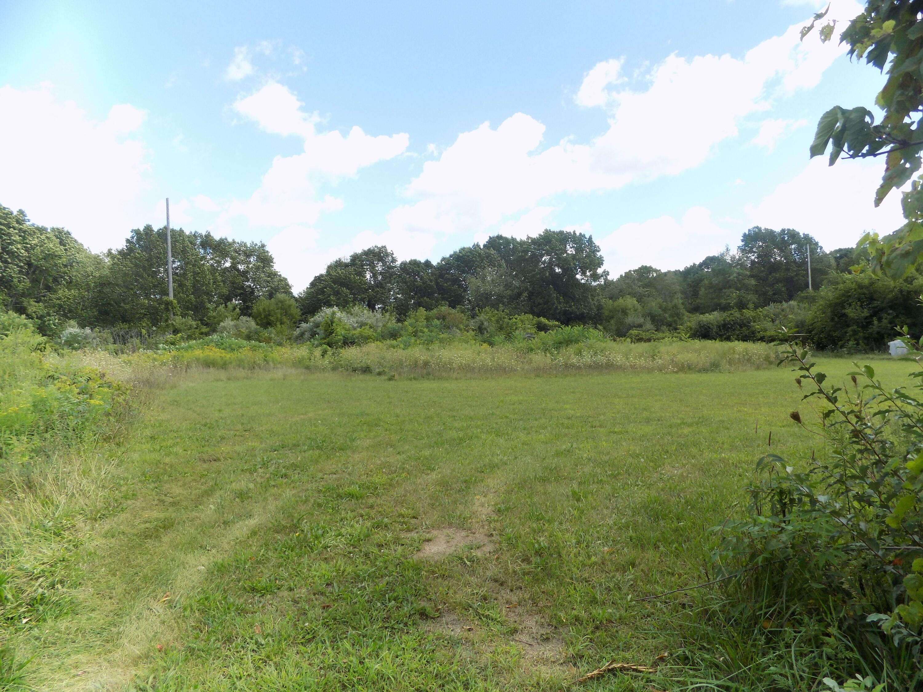 0 Mountain Road Coloma, MI 49038 - Photo 5 of 12 DSCN6858