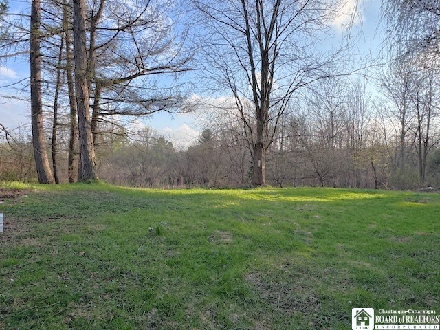 6073 Old Rte 17 Chautauqua, NY 14757 - Photo 8 of 24