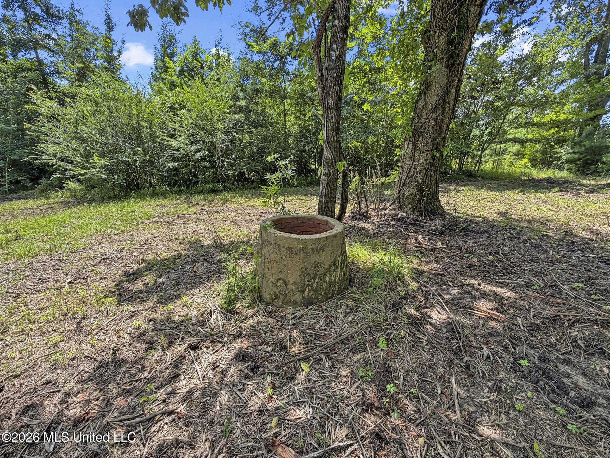 13 Co Road Louin, MS 39338 - Photo 11 of 29 IMG_3457