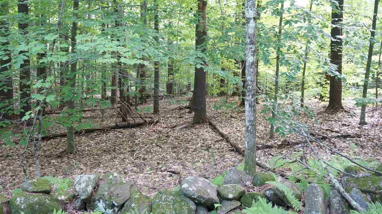 115.1 Winslow Road Weare, NH 03281 - Photo 1 of 8