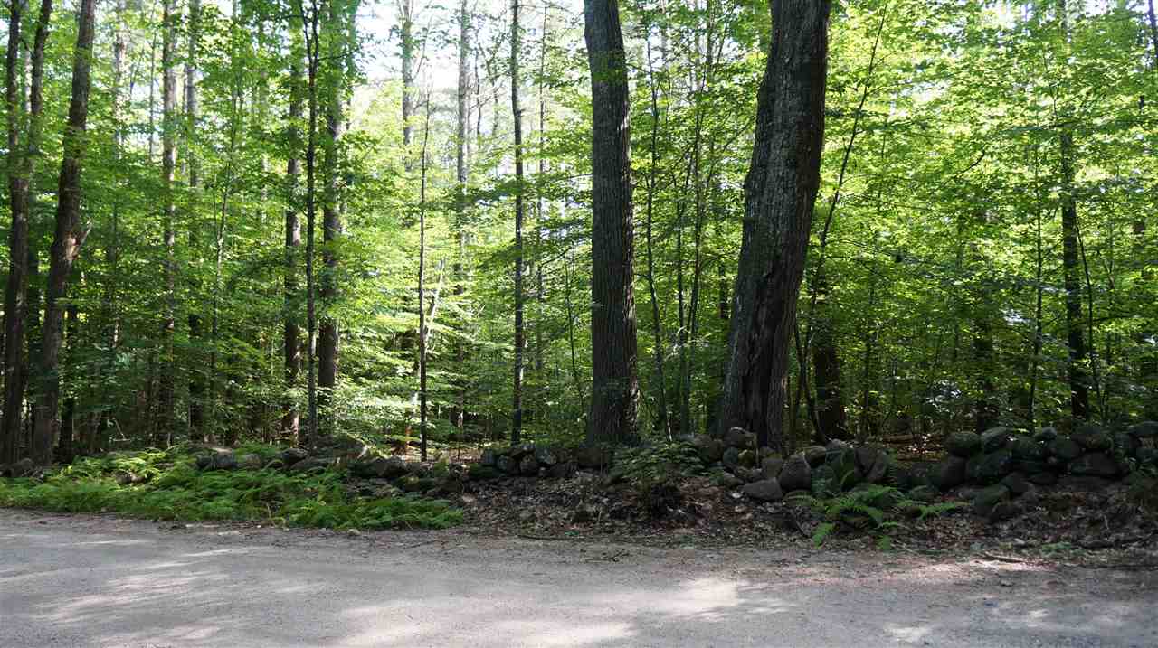 115.1 Winslow Road Weare, NH 03281 - Photo 2 of 8